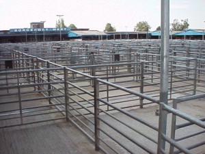 r0300033        